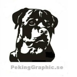 Rottweiler Face 1