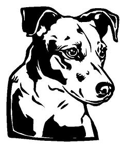 Jack Russell Terrier no1 Dekal