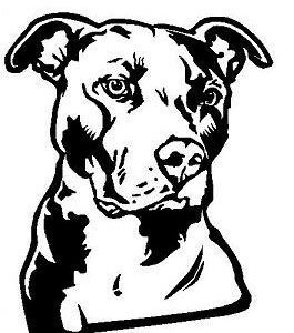 Pit Bull Terrier Face 1